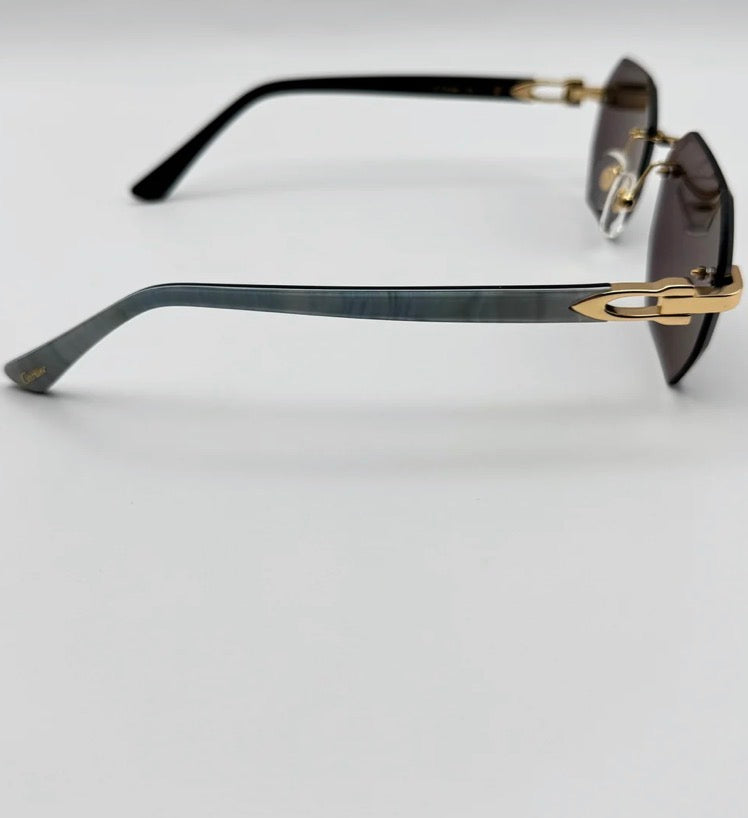 Acetate sunglasses