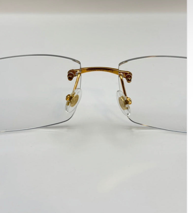 Panthers Sunglasses