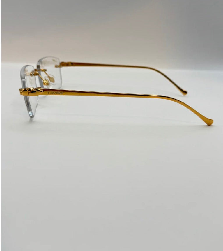 Panthers Sunglasses