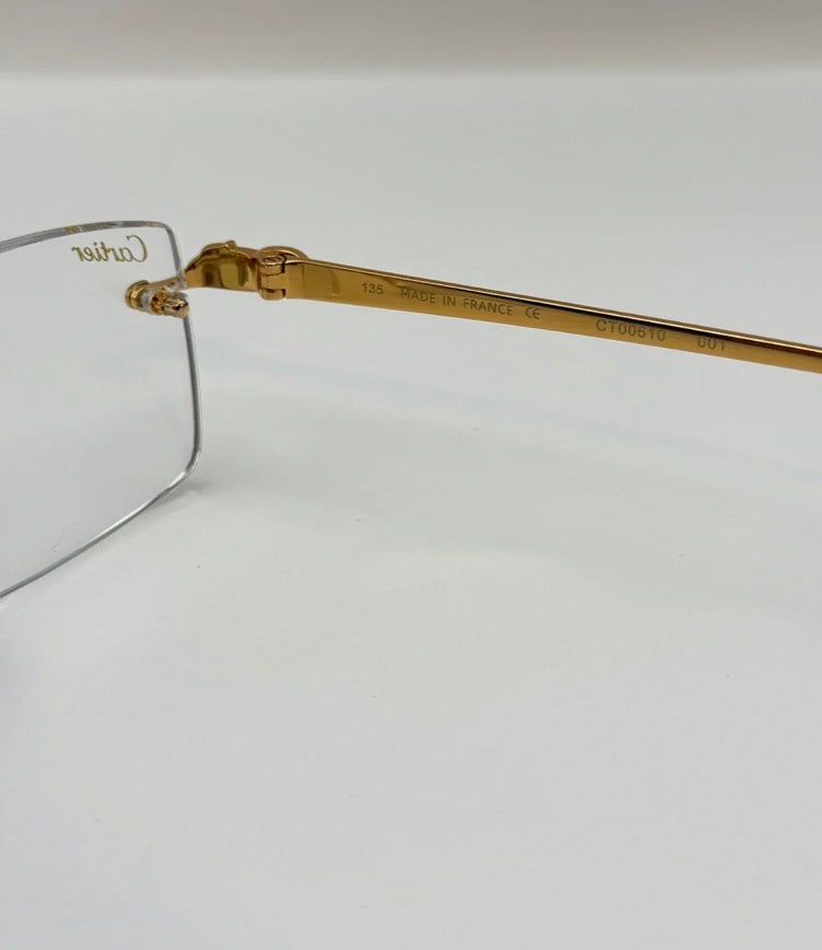 Panthers Sunglasses
