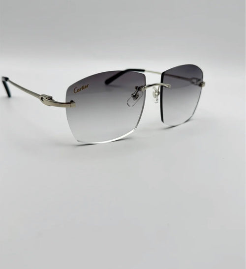 METAL WIRE SUNGLASSES