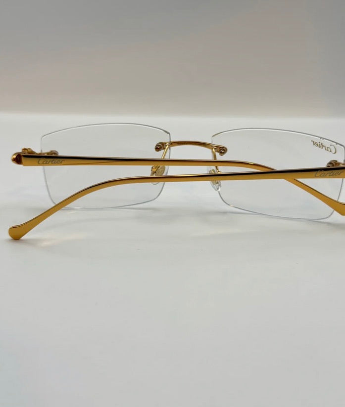 Panthers Sunglasses